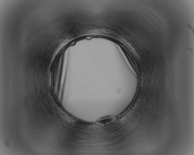 X0000091561224200709071119