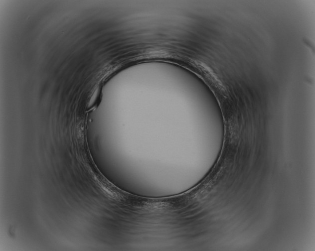 X0000091561225200709071119