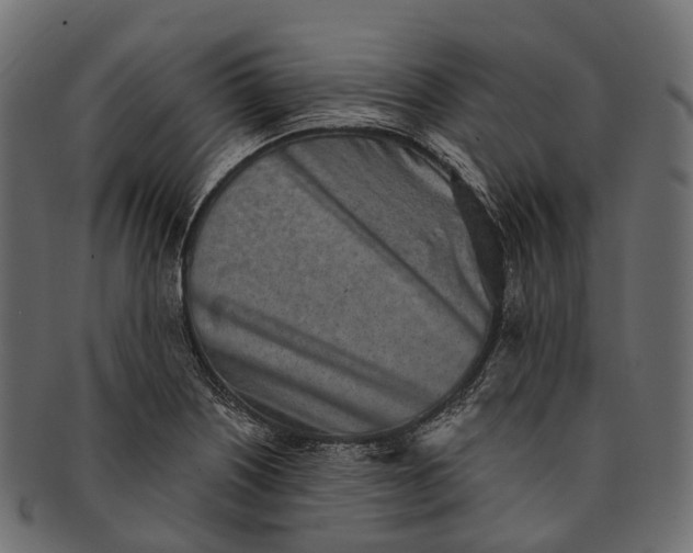 X0000091561226200709071119