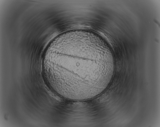 X0000091561227200709071119