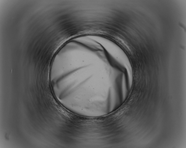 X0000091561228200709071119