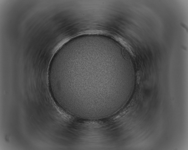 X0000091561229200709071119