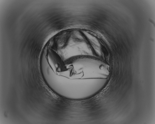 X0000091561230200709071119