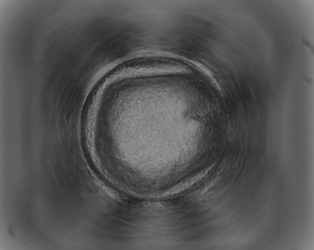 X0000091561231200709071119