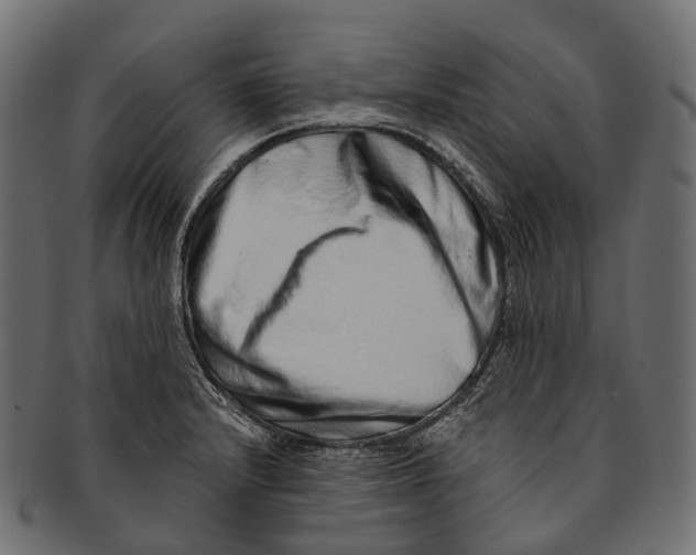 X0000091561232200709071119