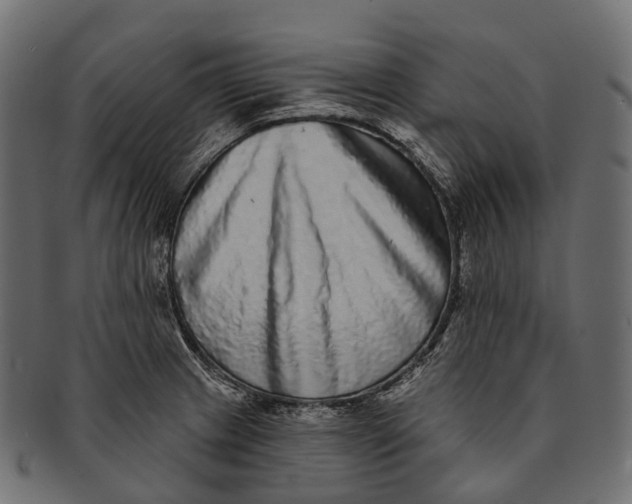 X0000091561233200709071119