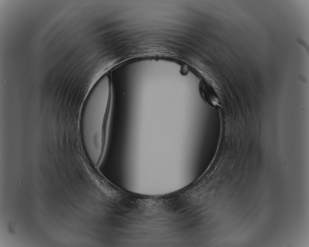 X0000091561234200709071119