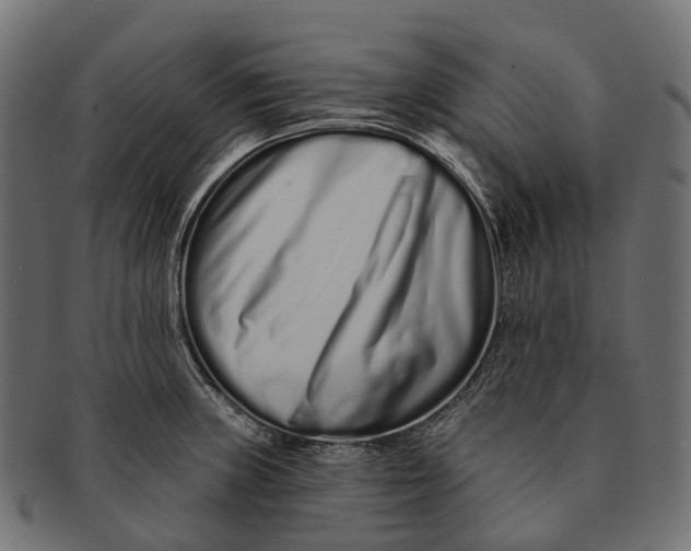 X0000091561235200709071119