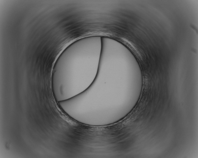 X0000091561236200709071120