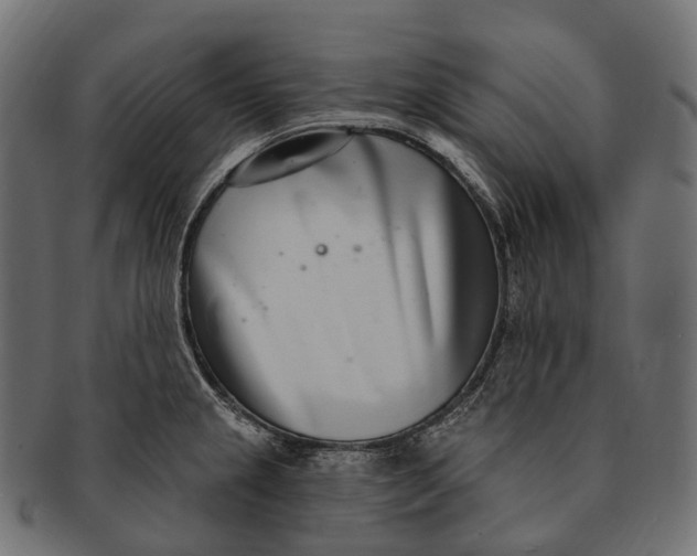 X0000091561237200709071120