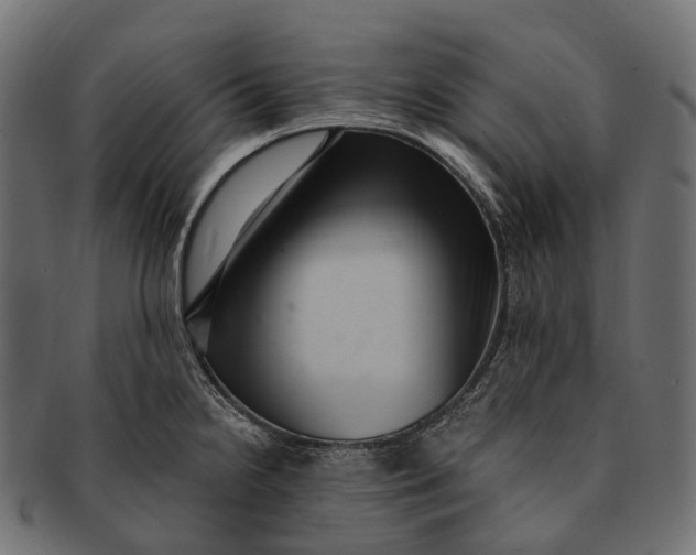 X0000091561238200709071120