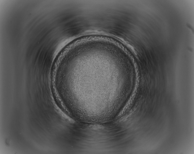 X0000091561239200709071120