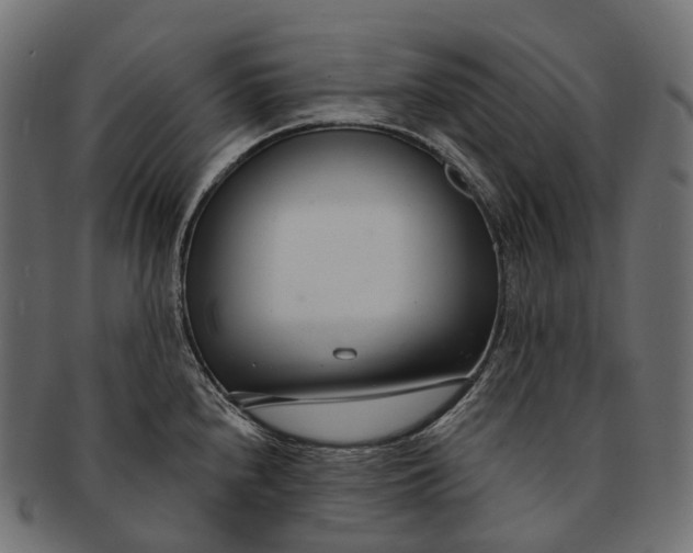 X0000091561240200709071120