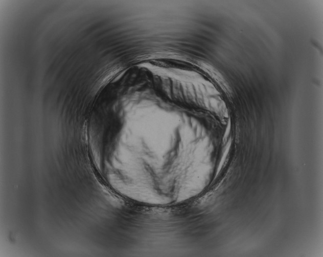 X0000091561241200709071120