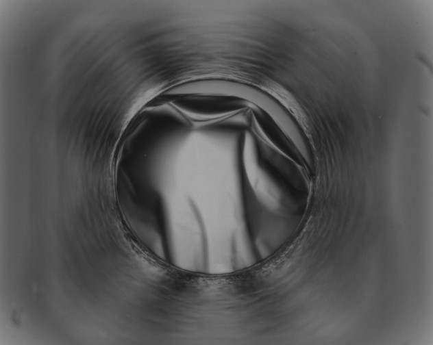 X0000091561242200709071120