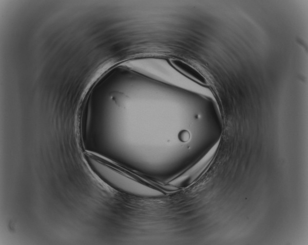 X0000091561243200709071120