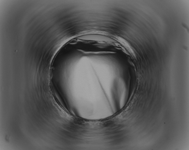 X0000091561244200709071120