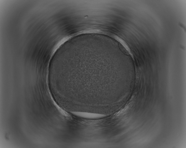 X0000091561245200709071120