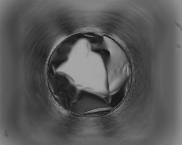 X0000091561248200709071120