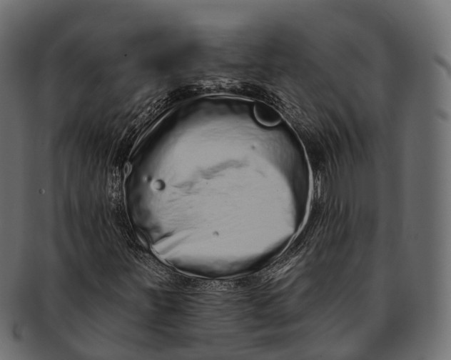 X0000091561251200709071119