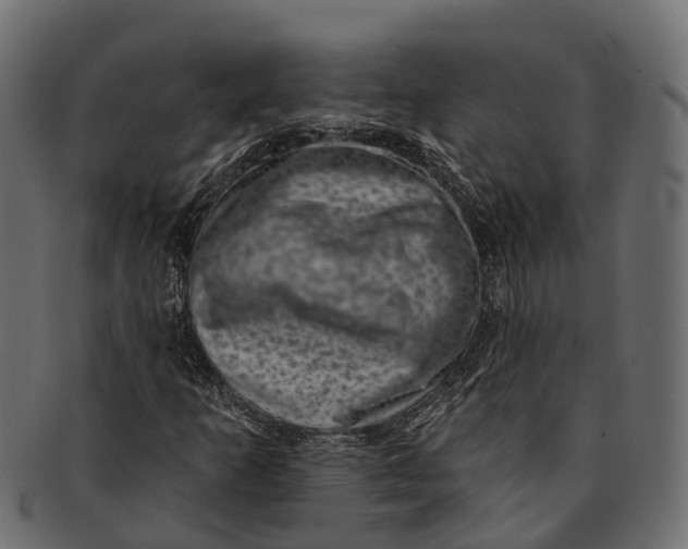 X0000091561253200709071119