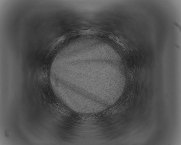 X0000091561254200709071119