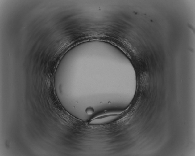 X0000091561257200709071119