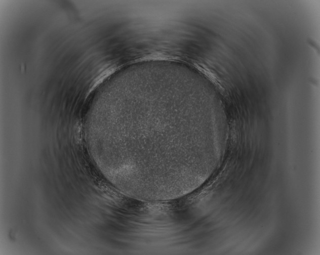 X0000091561258200709071119