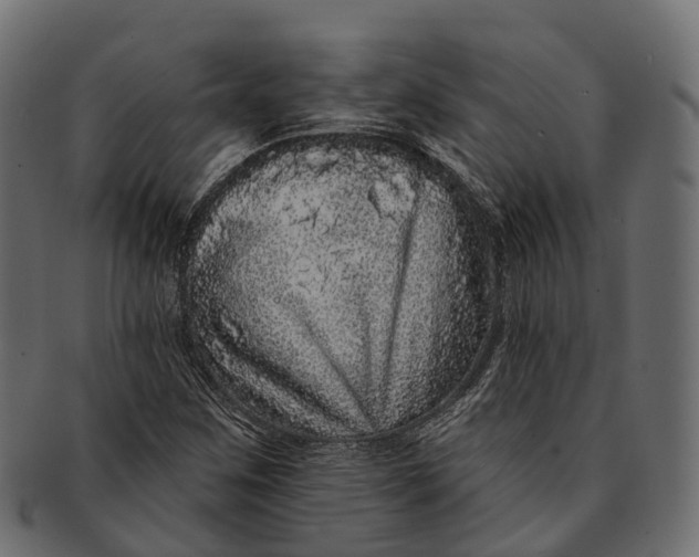 X0000091561259200709071119