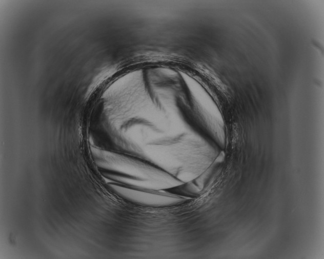 X0000091561261200709071119