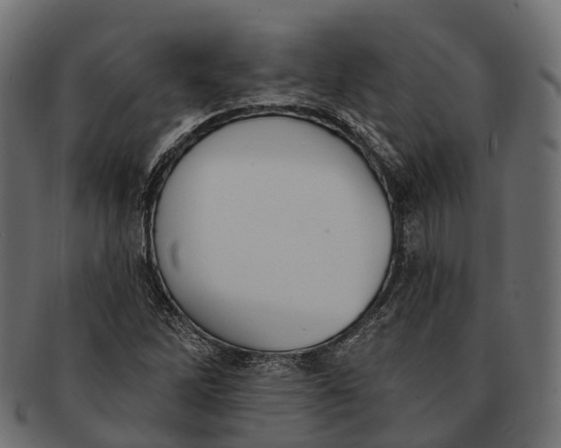 X0000091561262200709071119