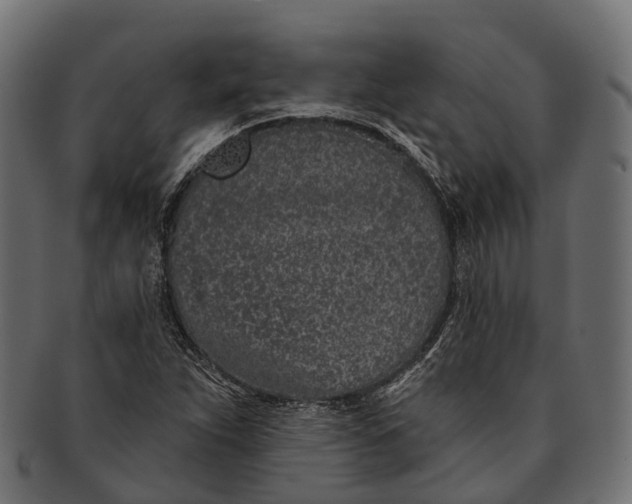 X0000091561263200709071119