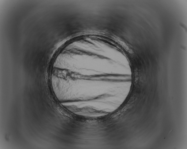 X0000091561264200709071119