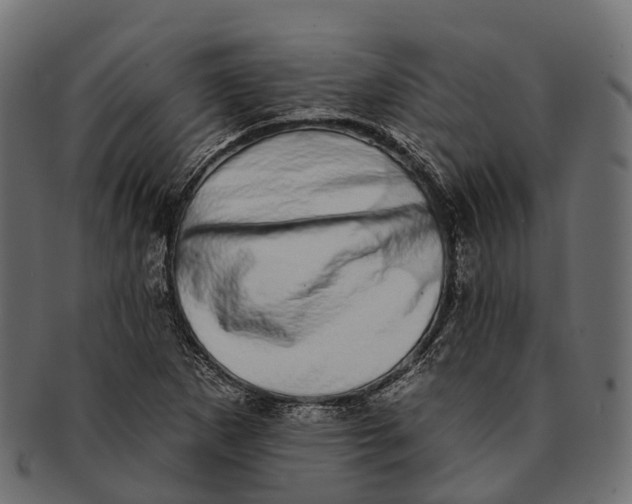 X0000091561265200709071119