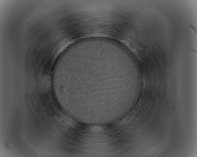 X0000091561266200709071119