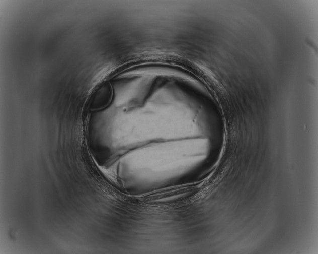 X0000091561267200709071119