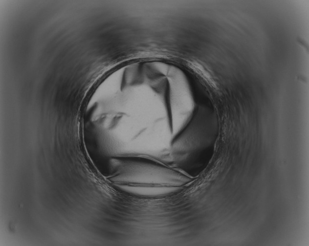 X0000091561268200709071119