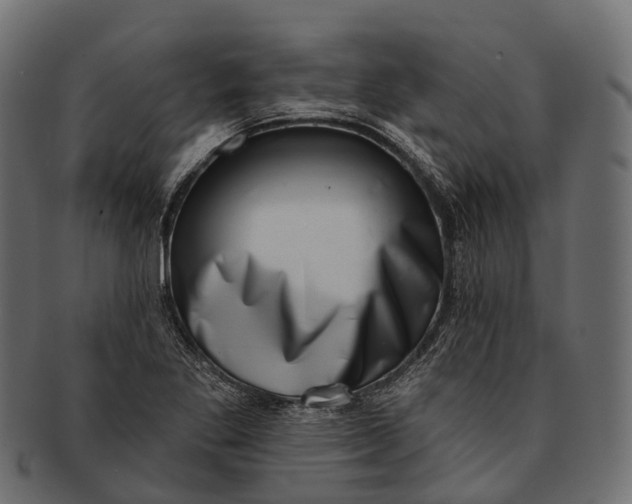 X0000091561269200709071119