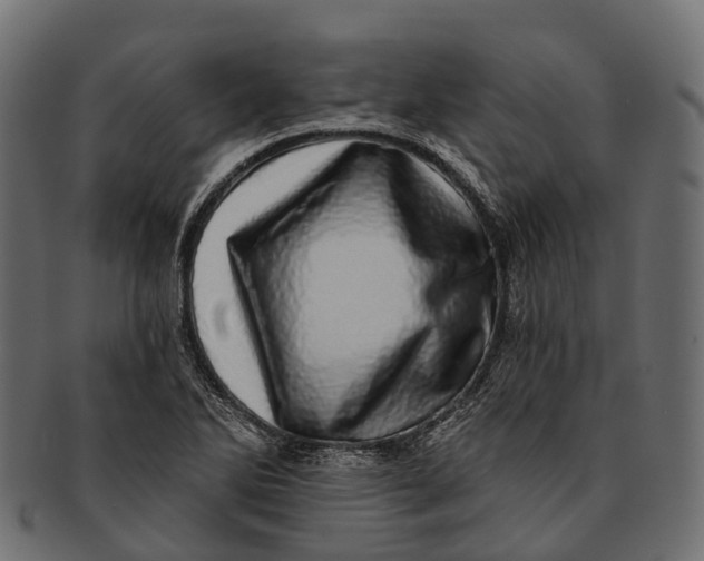 X0000091561270200709071119