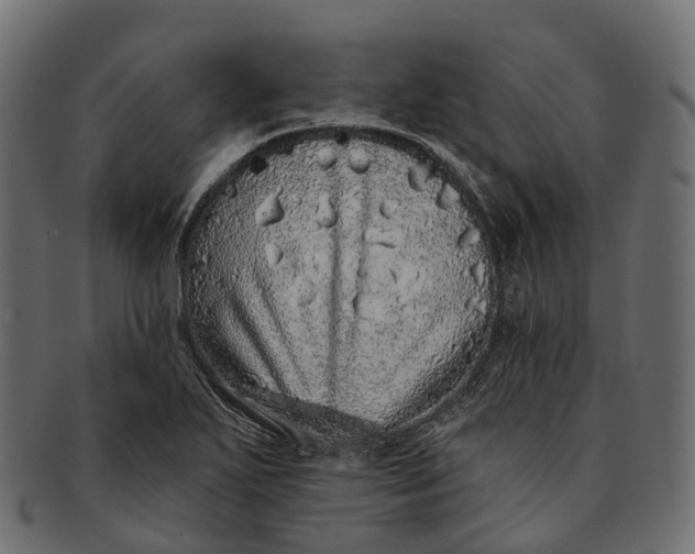 X0000091561271200709071119