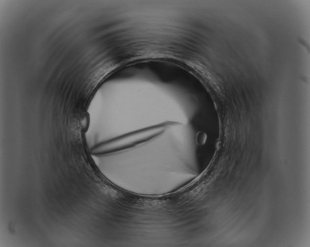 X0000091561273200709071119