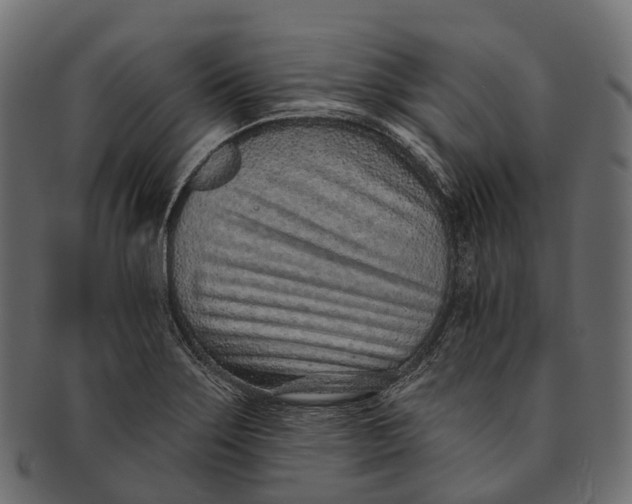 X0000091561275200709071119