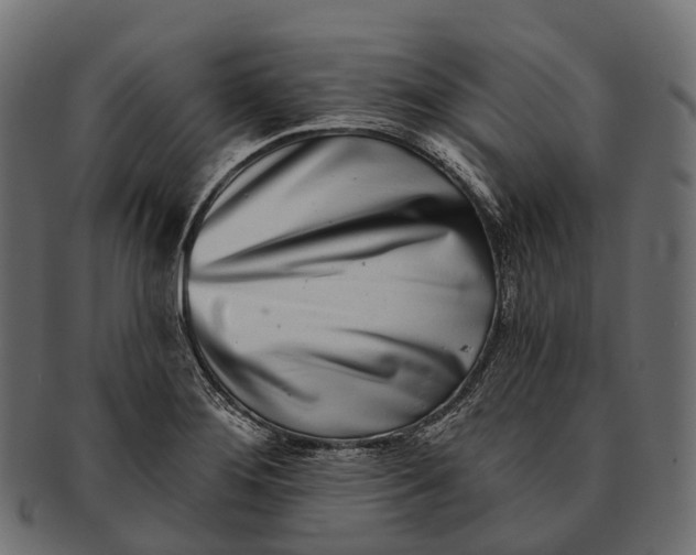 X0000091561276200709071119