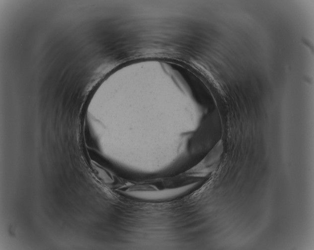 X0000091561277200709071119