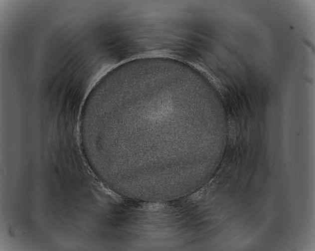 X0000091561278200709071119