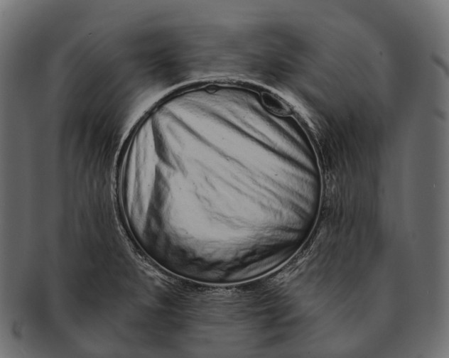 X0000091561279200709071119