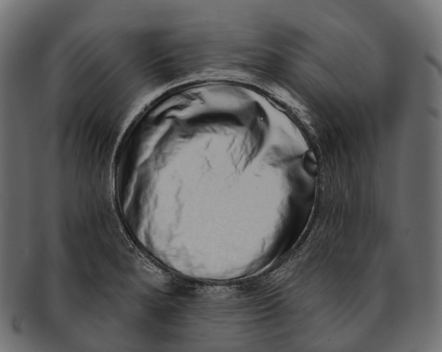 X0000091561280200709071119