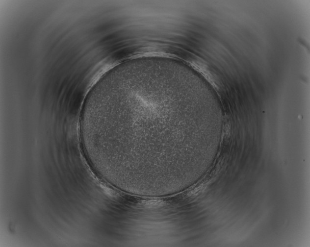 X0000091561282200709071119