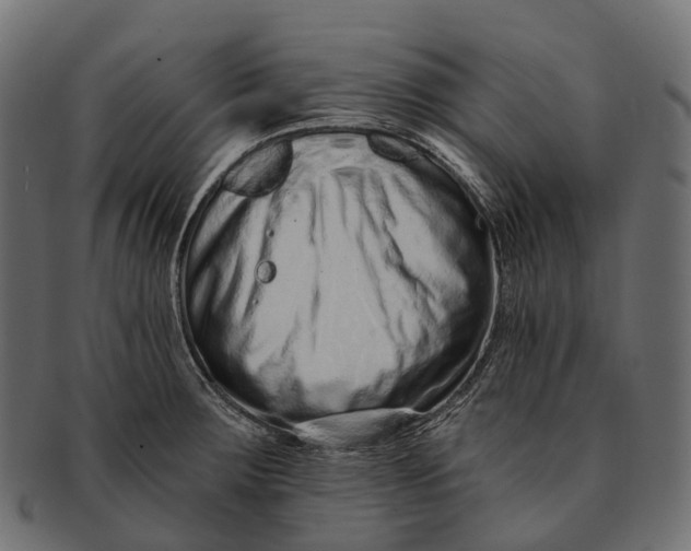 X0000091561283200709071119