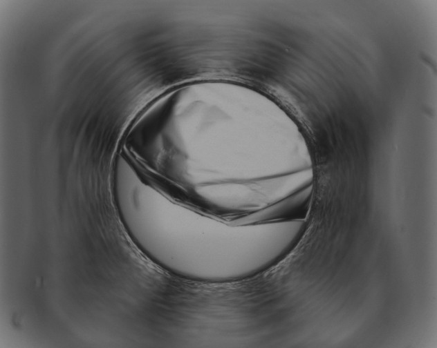 X0000091561284200709071119